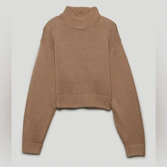 Aritzia Wilfred Free 100% merino wool Harper turtleneck sweater - Picture 3 of 8